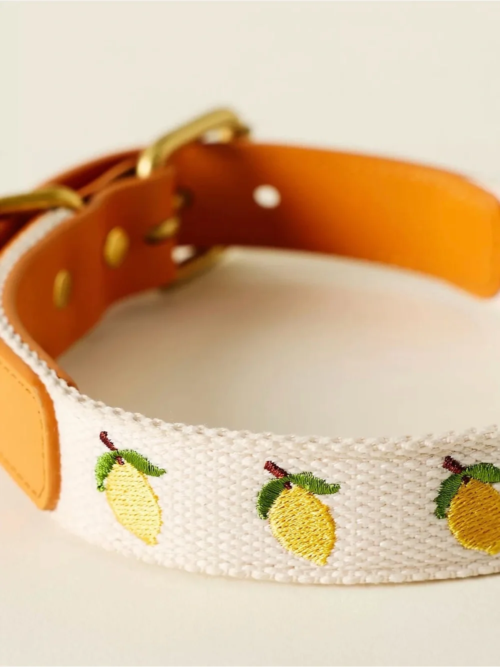 NWT Anthropologie Lemon Embroidered Canvas + Leather Dog Collar .Size Large